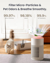 Load image into Gallery viewer, Osmo AirPurify Pro