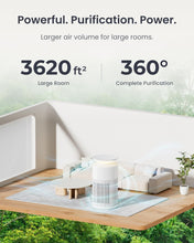 Load image into Gallery viewer, Osmo AirPurify Pro