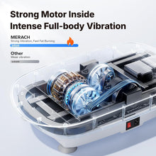 Load image into Gallery viewer, FitPlate