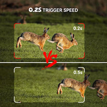Load image into Gallery viewer, Osmo WildPro