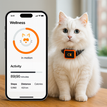Load image into Gallery viewer, KittyFind GPS Collar