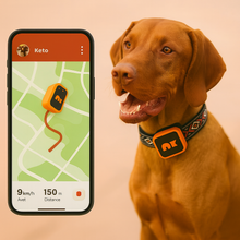 Load image into Gallery viewer, NordPaw Dog GPS
