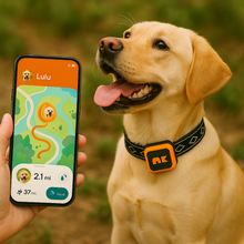 Load image into Gallery viewer, NordPaw Dog GPS
