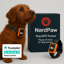 Load image into Gallery viewer, NordPaw Dog GPS
