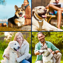 Load image into Gallery viewer, DoggoBark
